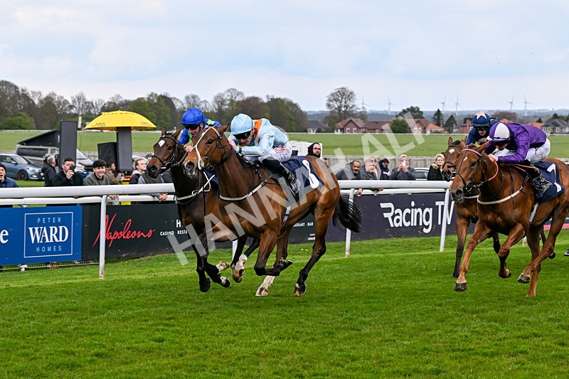 150426-Race 3-Bayside-6071 - Race 3