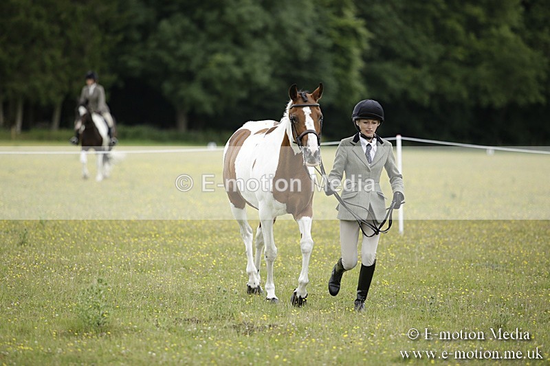 BVR160717-848 - Ring 2 BVRC Show 16/07/17