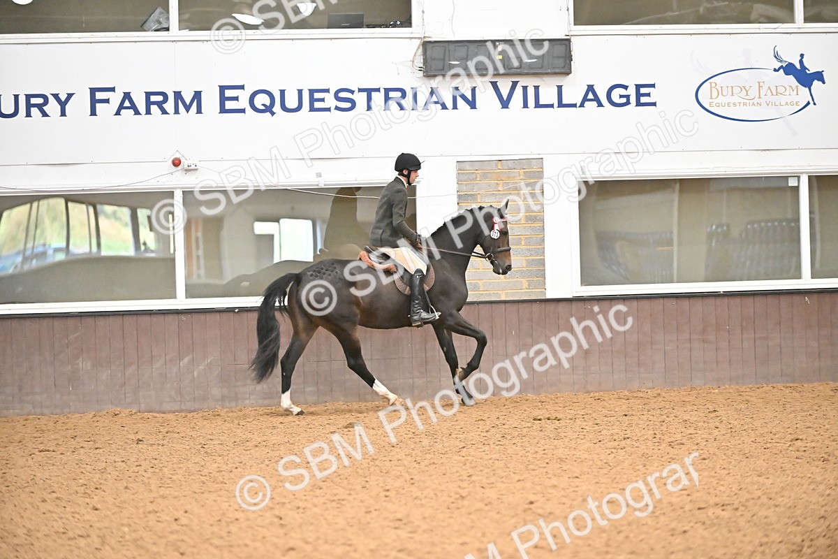 SBM_002394 - Class 22 - BSHA Ridden Hack & Riding Horse