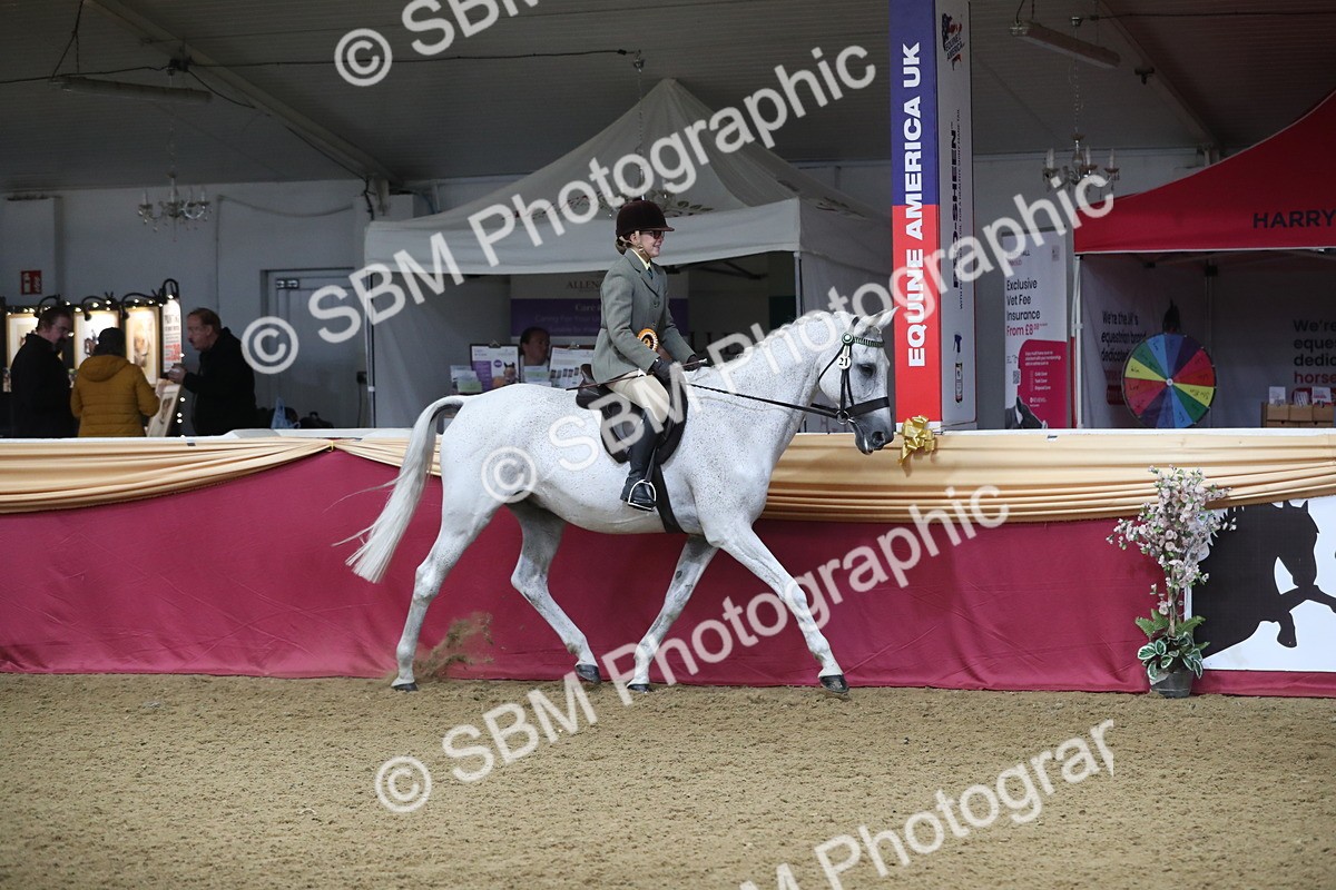 SBM_10476 - Class 102 Equitation (best rider) Adult