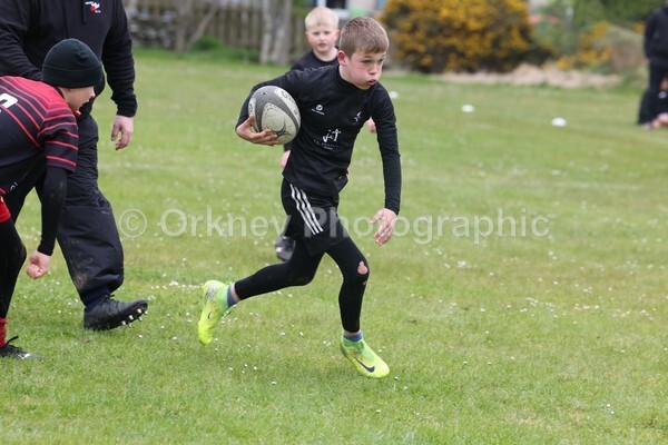 DAD22477 - Rookies/Mini Rugby on 7s Day