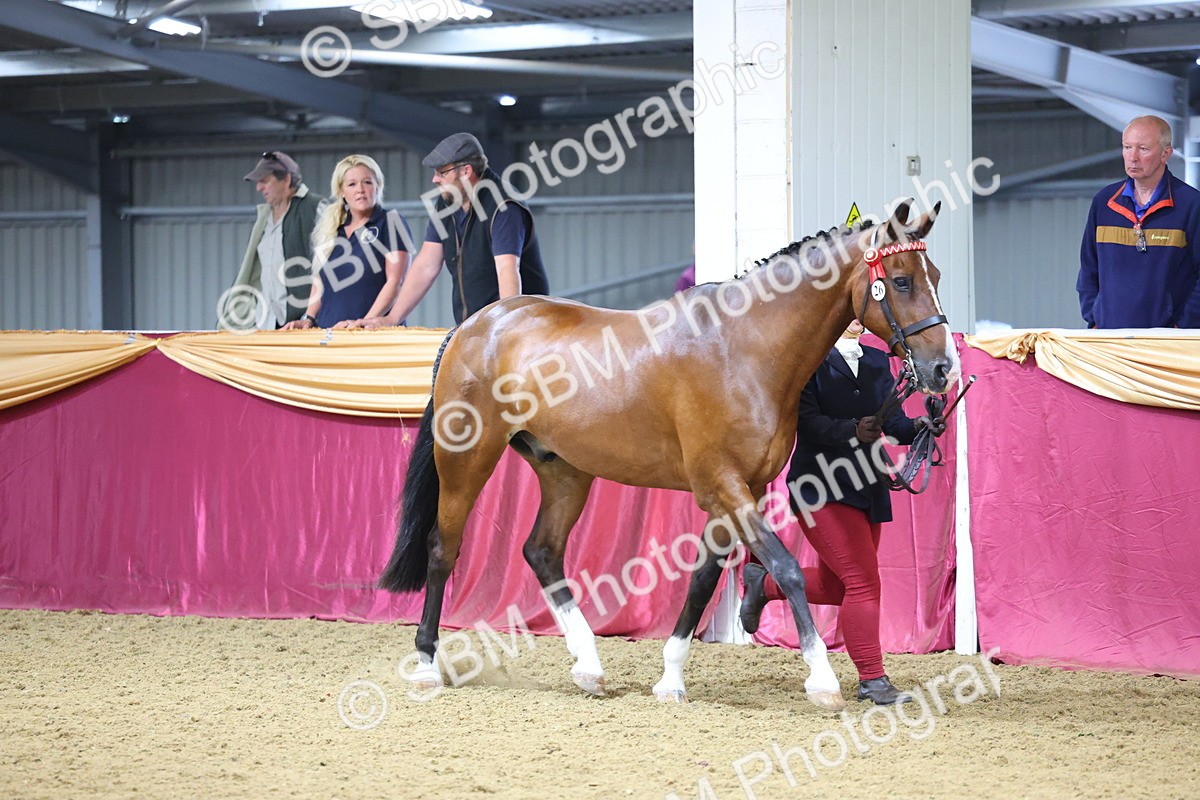 SBM_19409 - Class 901 - Supreme Final - IH Diamond