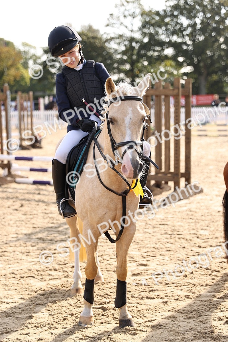 SBM_59778 - J11 - Junior Pony 50cm Championship