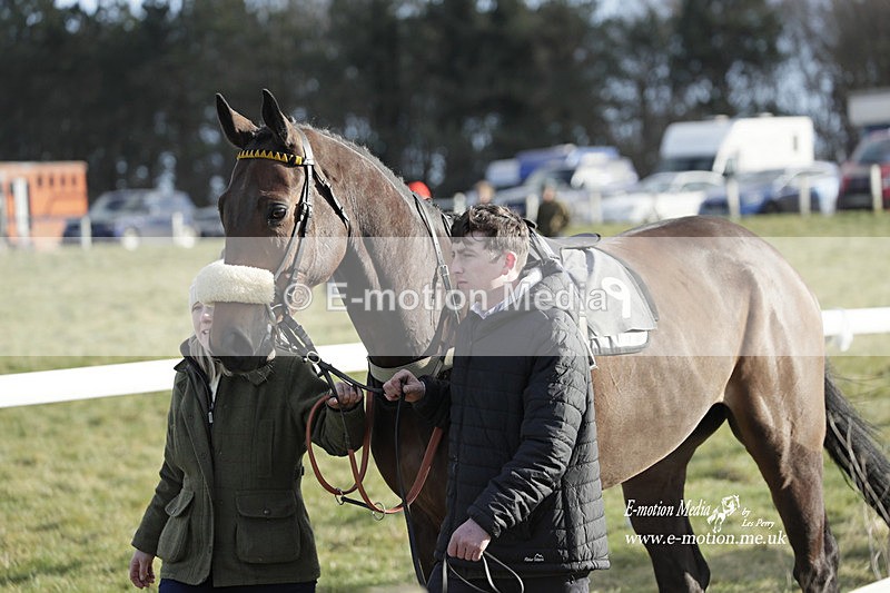 PtP 260223 977 - South & West Wilts Point-to-Point Larkhill 26/02/23