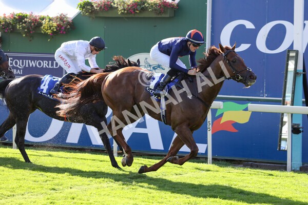 yr08102022r3-39 - Race 3 2.40pm The Coral 'Beaten-by-a-Length' Free Bet Handicap