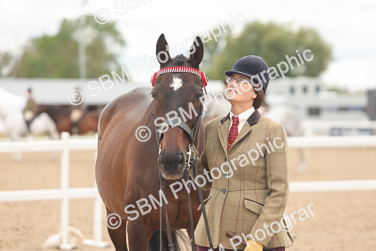 SBM_17093 - Class 313 - IH Retired Racehorse