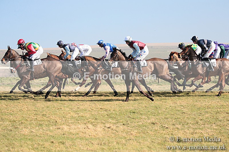 PtP 230219 63 - Vine & Craven Point-To-Point - Barbury 23/02/19