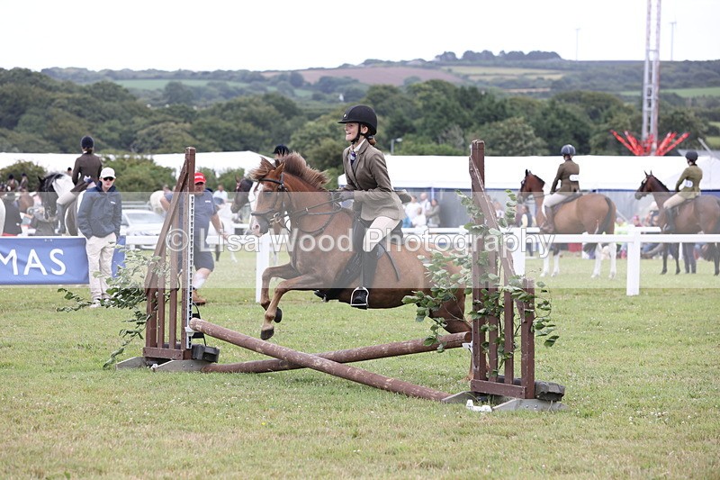 JPP_1707 - Class 18: Tiny Tots Working Hunter Pony