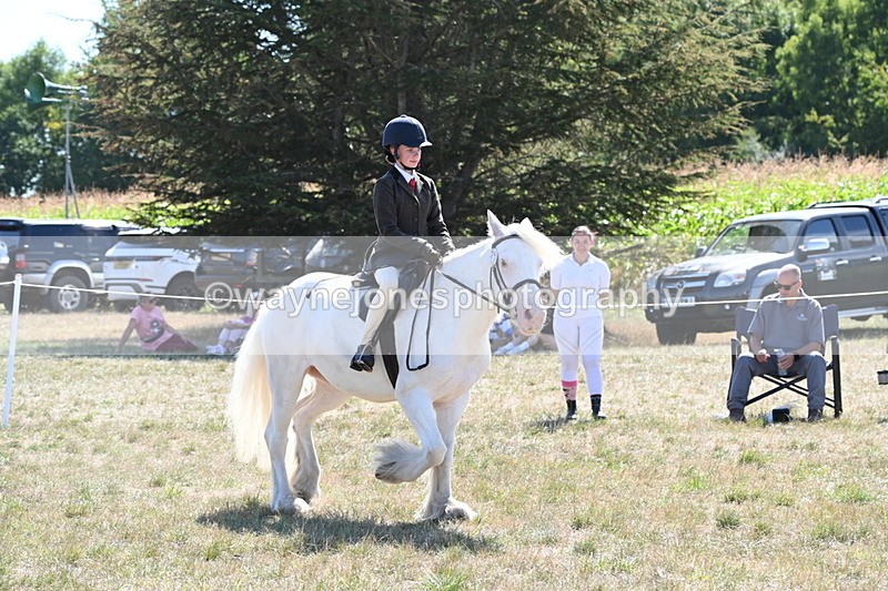 WJ6_8974 - Class 38 Ridden Riding Horse/Pony
