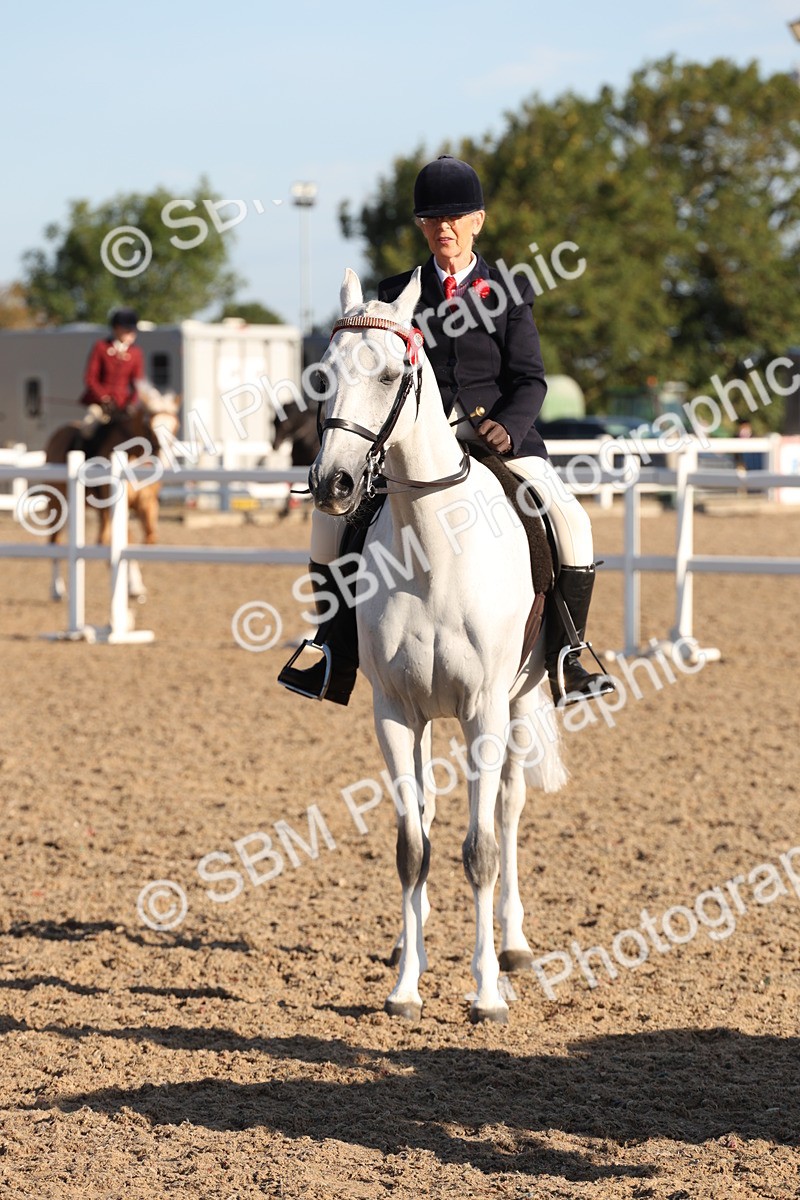 SBM_10845 - Class 202 - Best Turned Out - Ridden