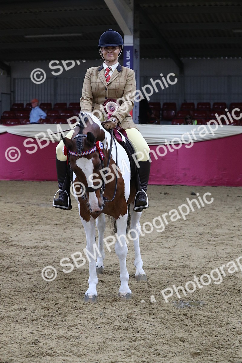 SBM_08475 - Class 11R Regional Ridden Veteran