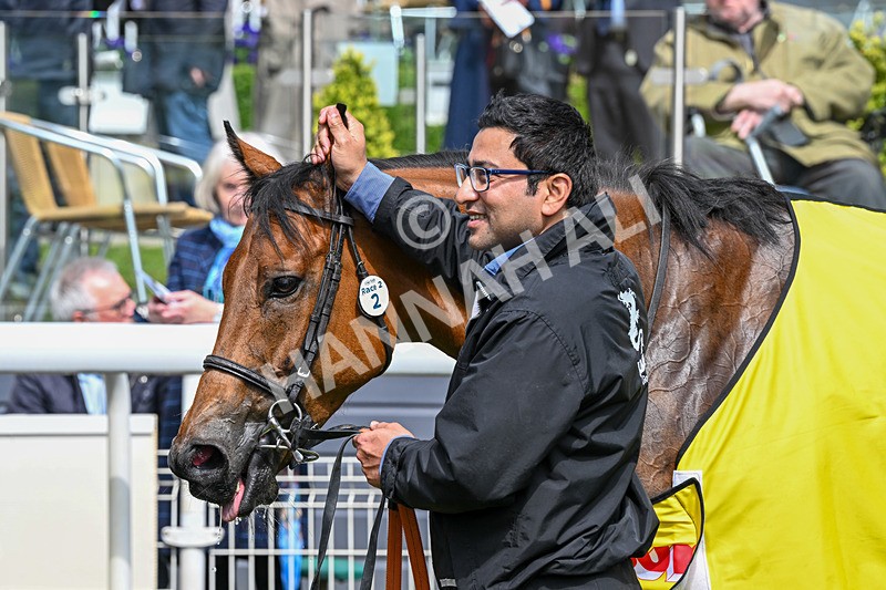 140526-Race 2-Jakajaro-4810 - Race 2 2.20pm Lindum York Handicap