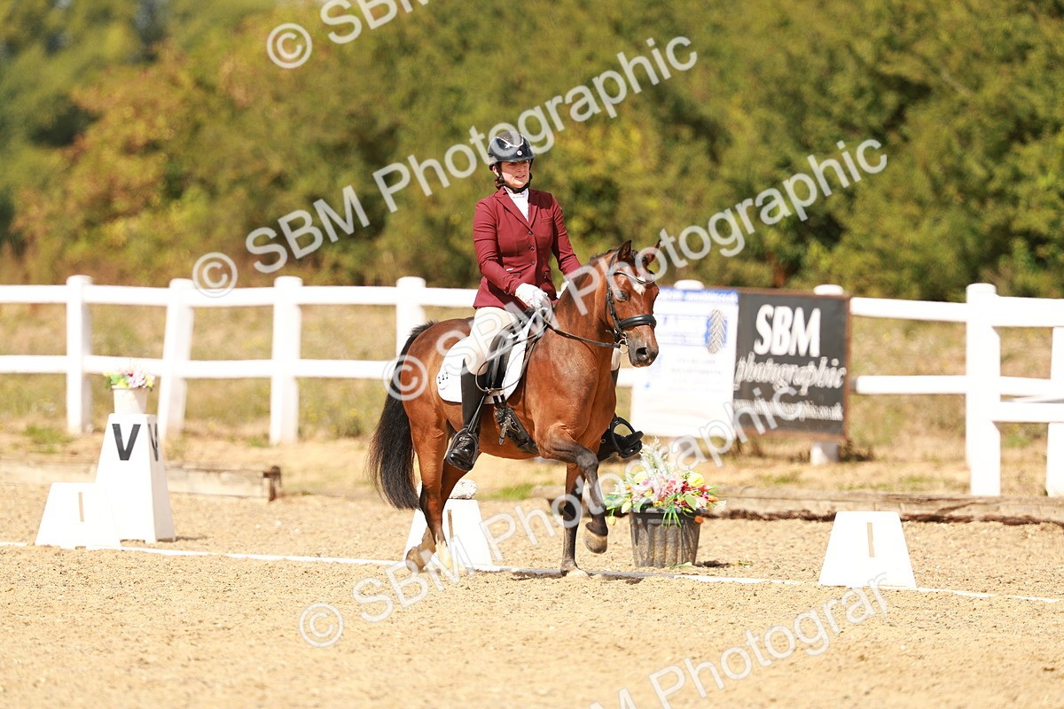 SBM_018628 - Class 9 - N5 Bronze 11.57.13.07
