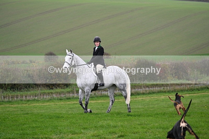 WJ7_8838 - Meet Staff & Hounds