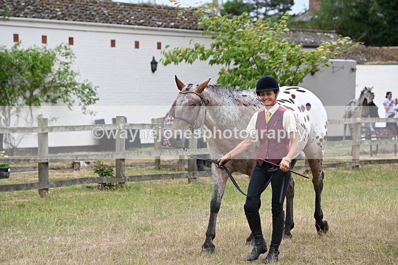 WJ6_7993 - Class 10 Coloured in Hand