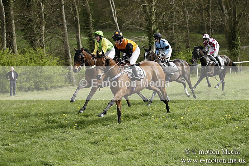 PtP 170417 298 - Old Berks Point-to-Point Lockinge 17/04/17