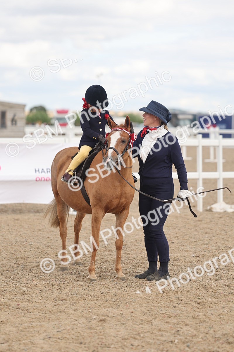 SBM_15812 - Class 309 - Lead Rein Pony