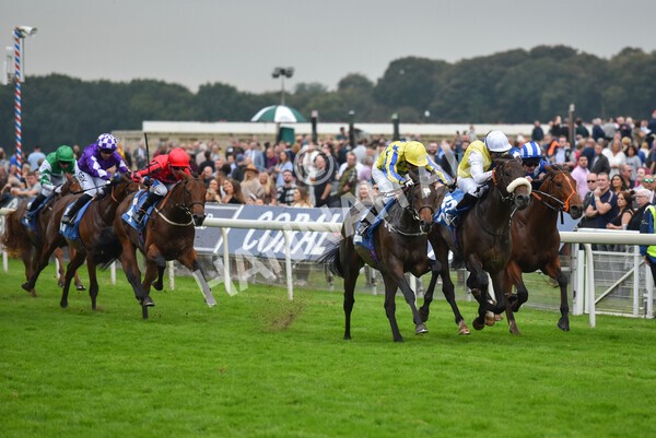 yr09102021r5-24 - Race 5 3.50pm Coral ebfstallions.com Novice Stakes