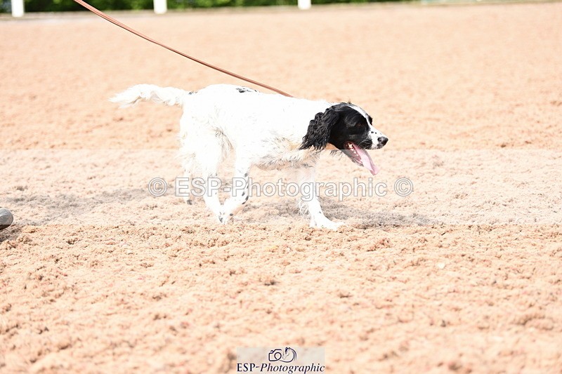 240518A-114948-00840 - Cls 2 Prettist Bitch