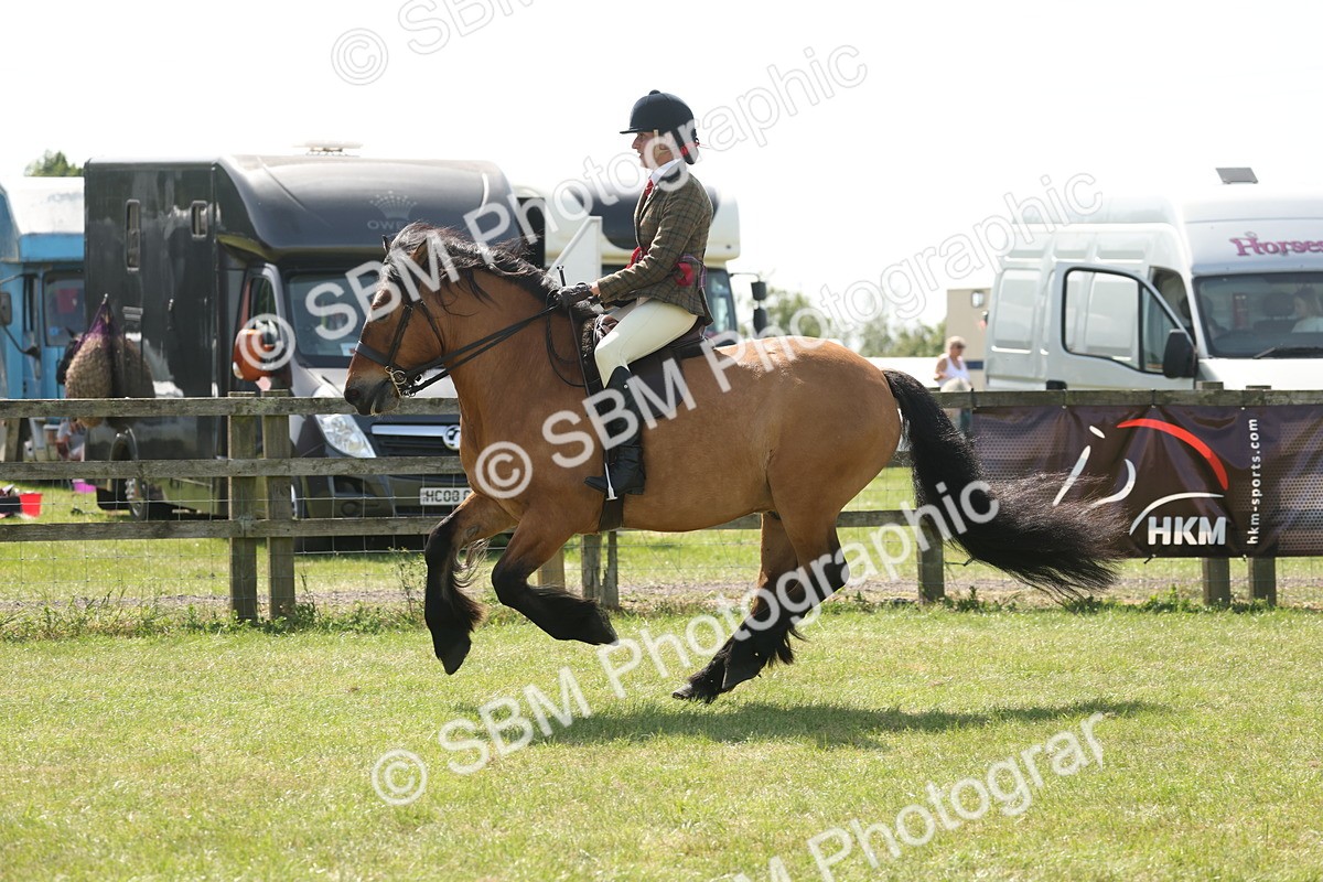 SBM_07714 - Class 26-30 - Mountain and Moorland Ridden