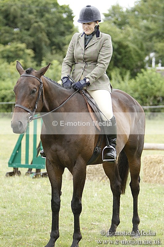 BVR160717-991 - Ring 3 BVRC Show 16/07/17