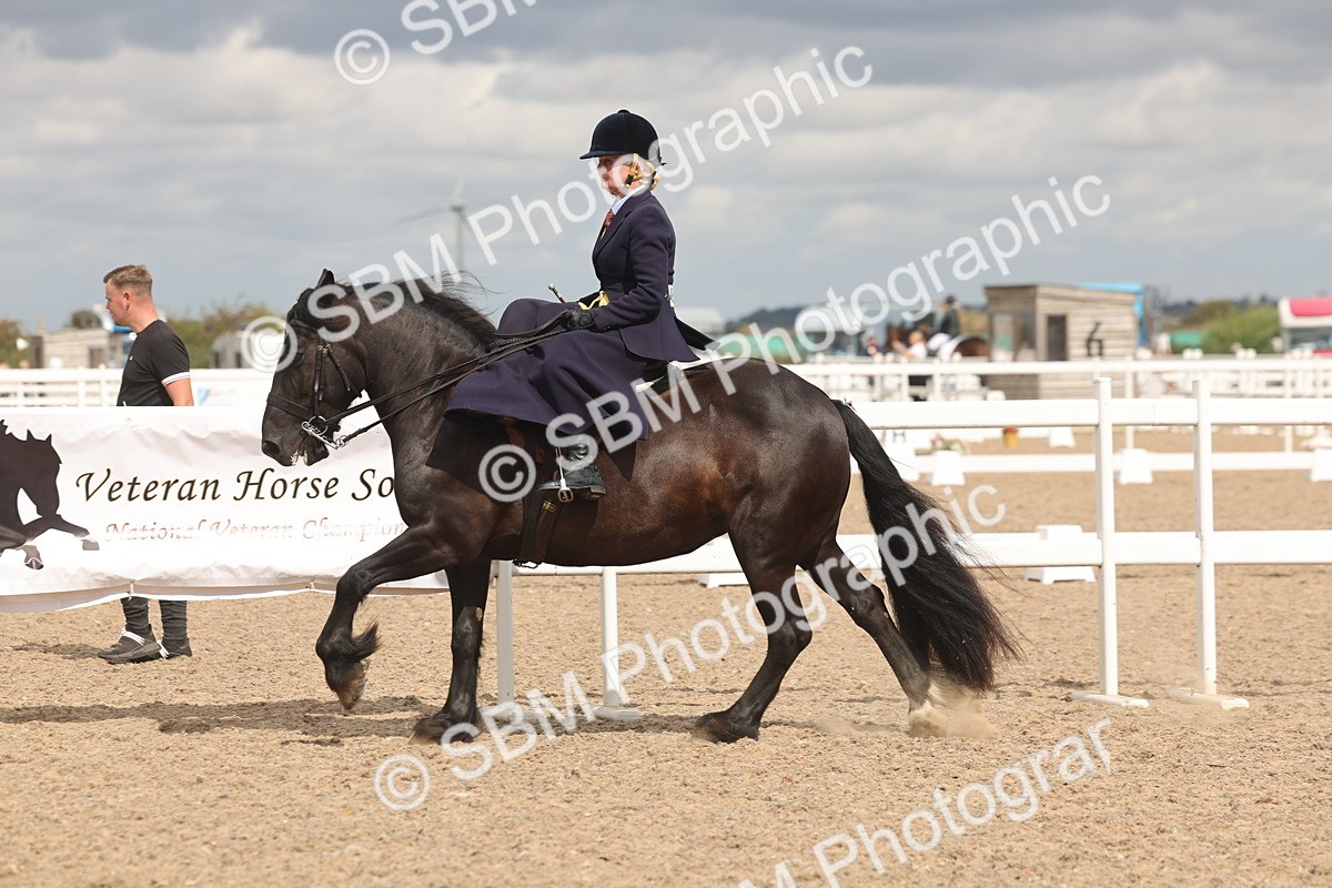 SBM_06358 - Class 22 - SSA - Equitation