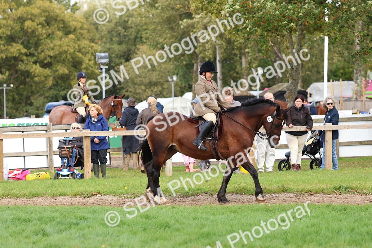 SBM_47598 - S28 - Veteran Ridden