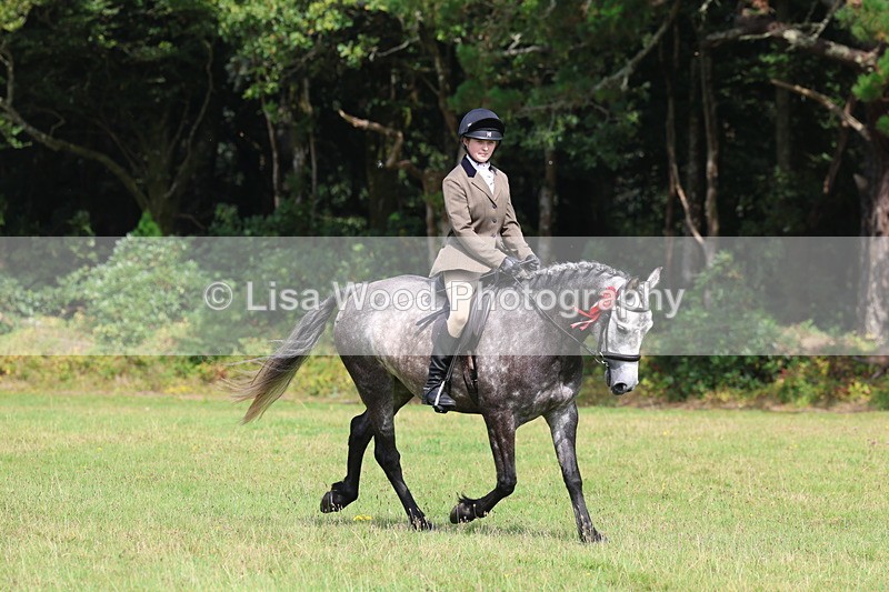 3E7A6049 - Working Hunter Championship