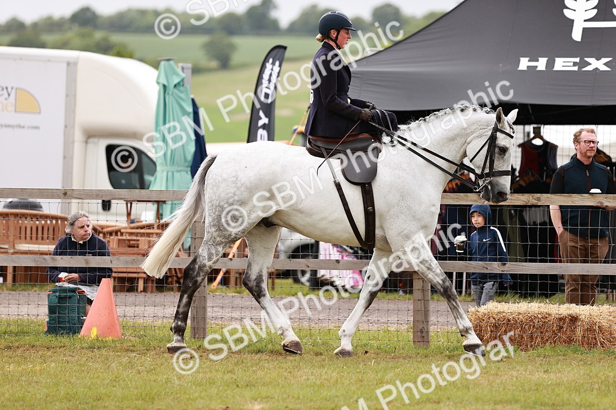 SBM_10970 - Class 81-84 - RIHS Ridden hunters Inc Ladies Hunter