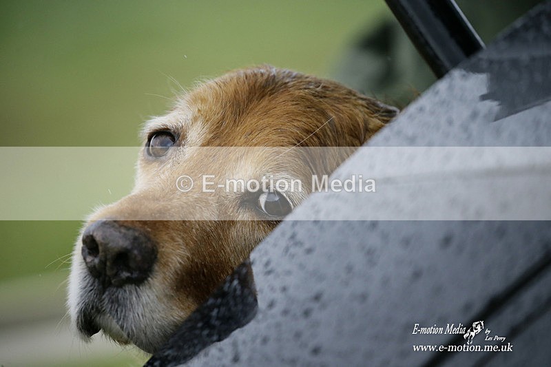 PtP 020122 374 - Larkhill Racing Club Point-to-Point 02/01/2022