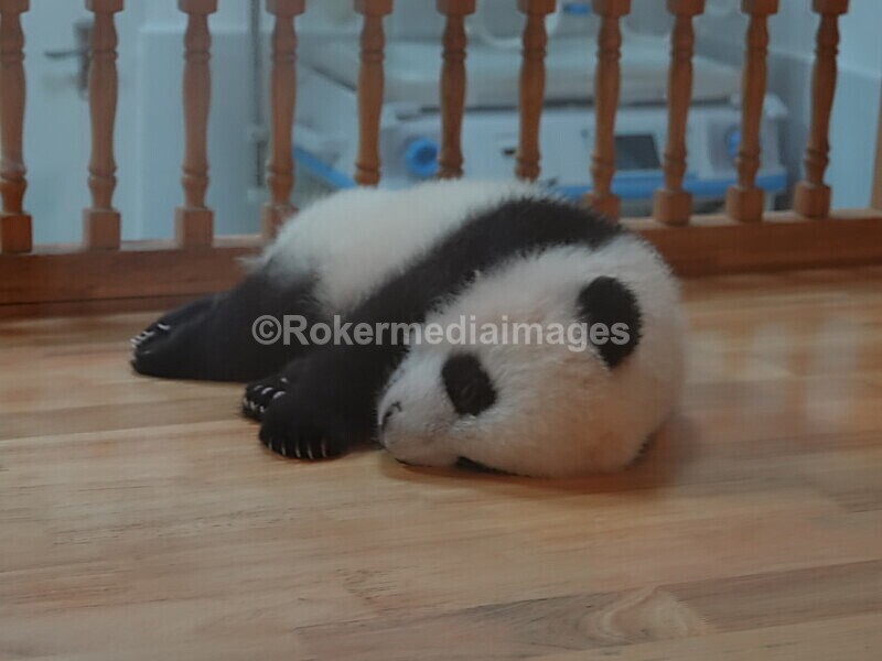 CHINA__0095 - China 2019