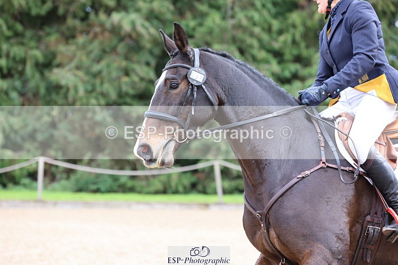 251026A-122019-24626 - F-431-Alison.Gill