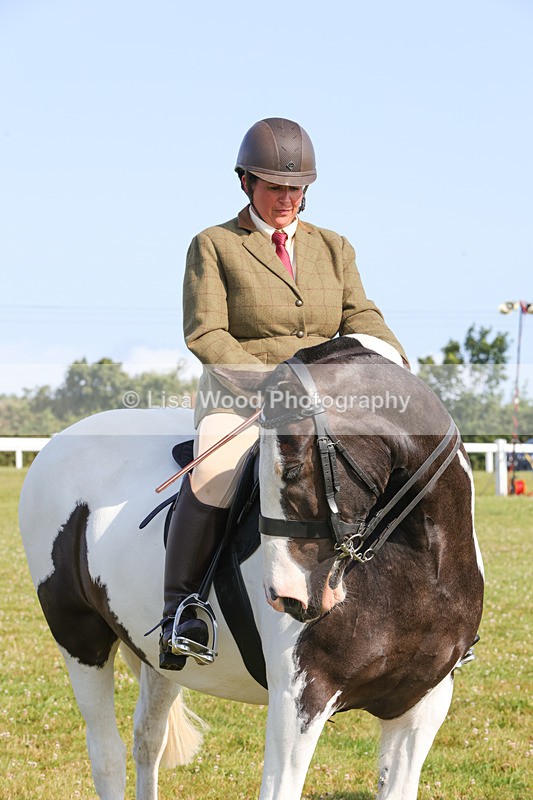 1X9A3396 - Class 28: Ridden Native/Trad Coloured Pony