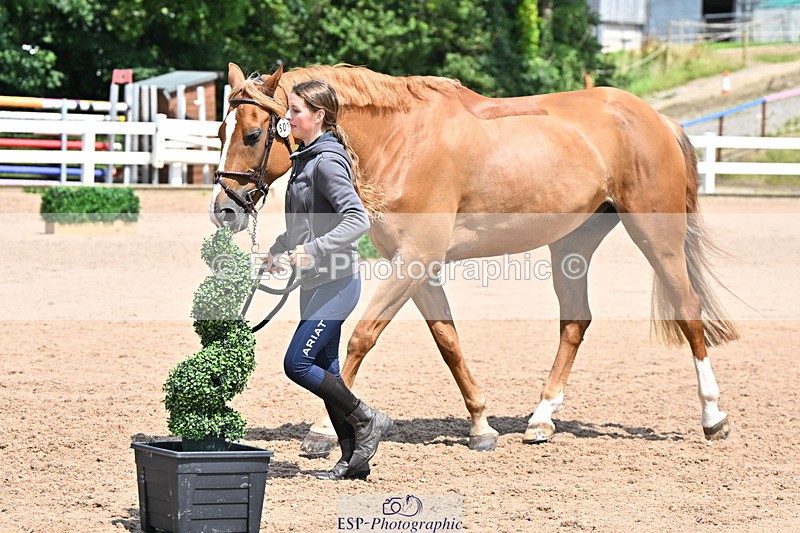 240718A-105315-01756 - Trot Up 1pm to 2pm