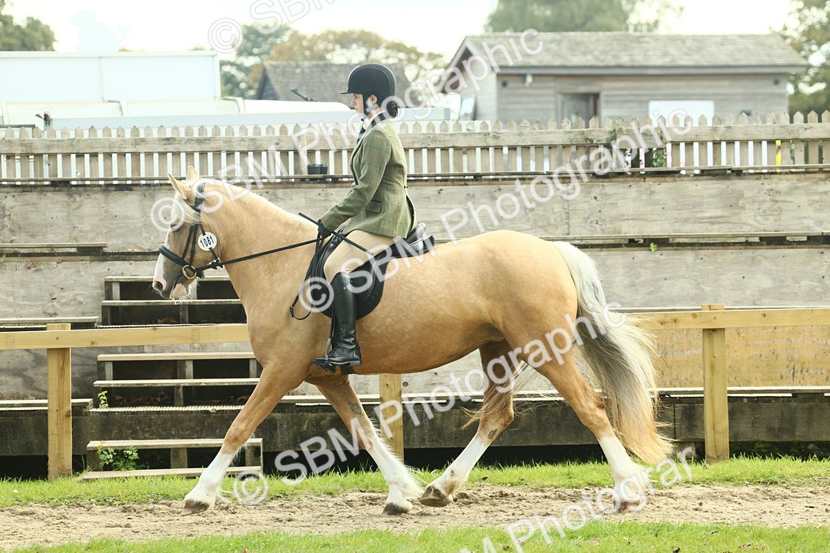SBM_62593 - S63 - Other Coloured Horse Ridden