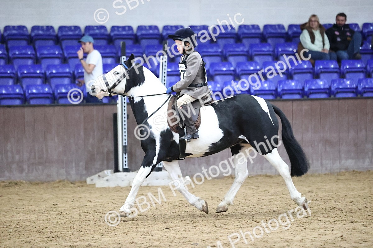 SBM_000273 - Class 2 - The Rug Lady 40cm
