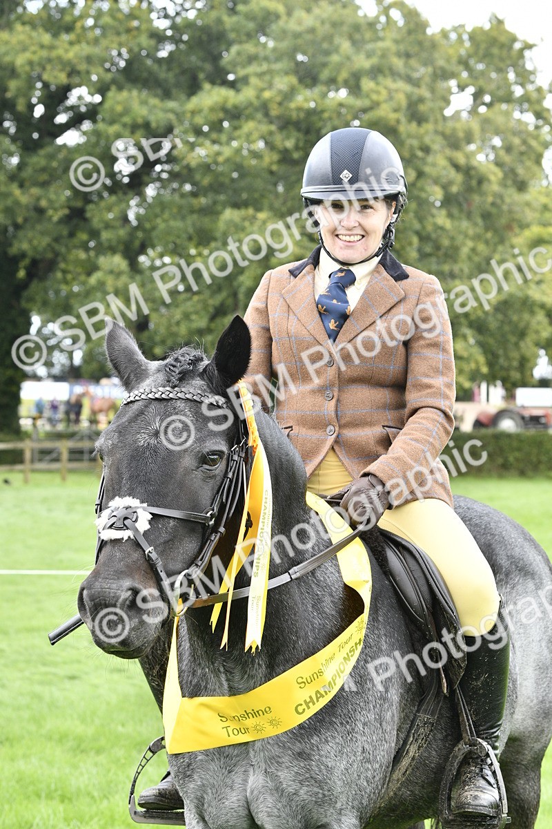 SBM_38270 - S31 - Novice & Newcomer Working Hunter Pony