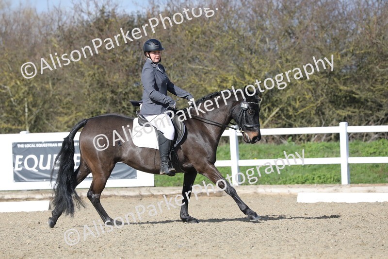 20260314-4868 - CT6 - Elementary 1