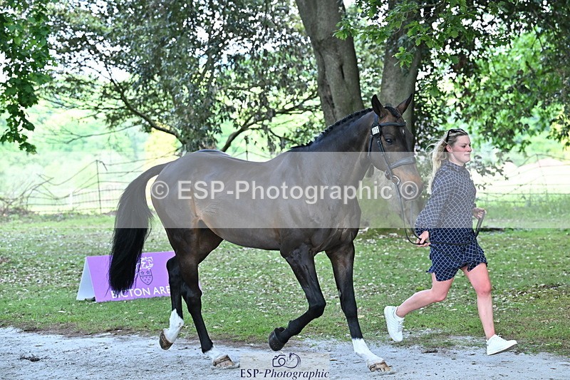 250521A-155305-00820 - B-376-Lucy.Robinson-BELLINE.SECOND.CHANCE