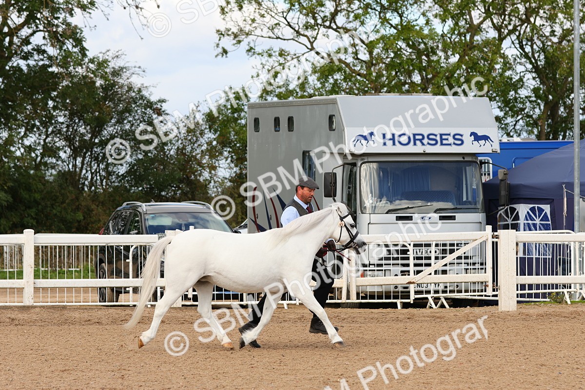 SBM_11913 - Class 209 - IH Veteran Pony