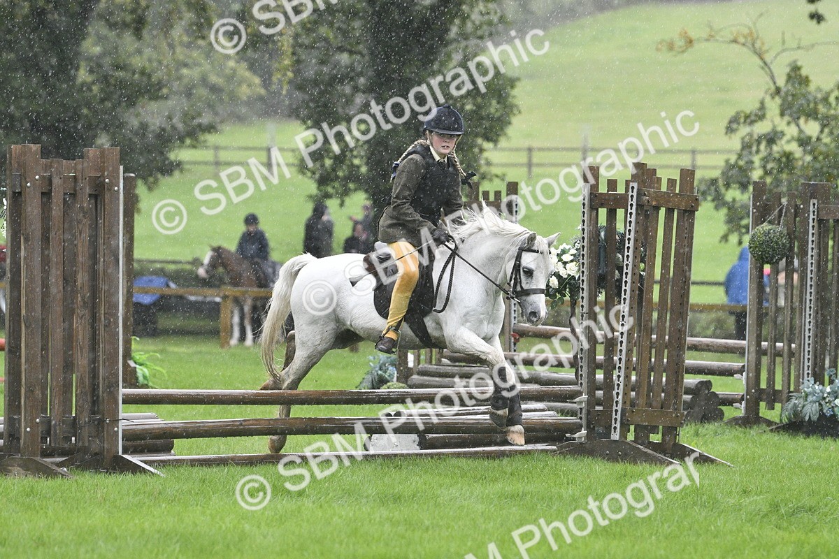 SBM_37128 - S31 - Novice & Newcomer Working Hunter Pony