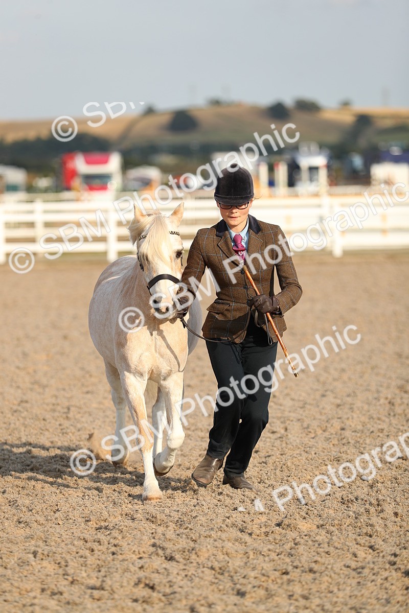 SBM_09067 - Class 29 IH Veteran Pony