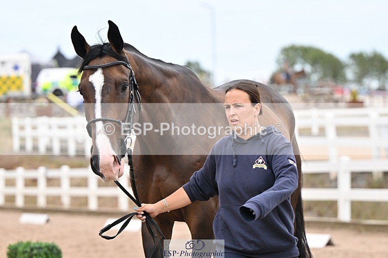 250716-160813-02440 - Trot Up 3.30 to 4.30