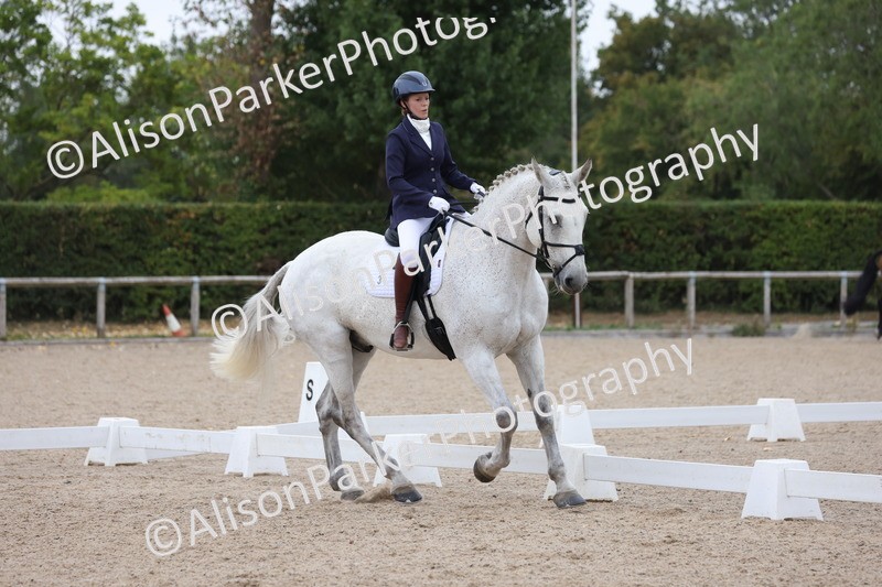 20250820-0322 - Class 11 - My Quest Novice 3