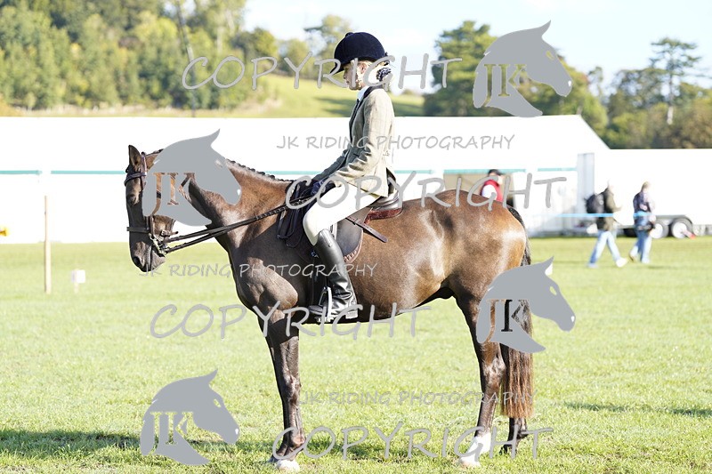 _DSC9415 - Class 8 & 17 Ridden Hunter & Ridden Hunter Pony