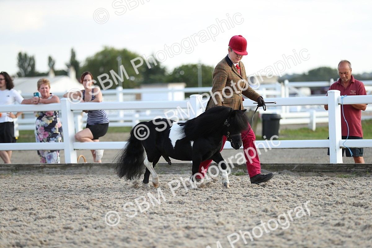 SBM_08923 - Class 29 IH Veteran Pony