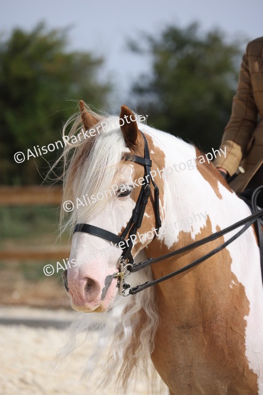 20260802-0484 - Class 6 - Veteran Ridden