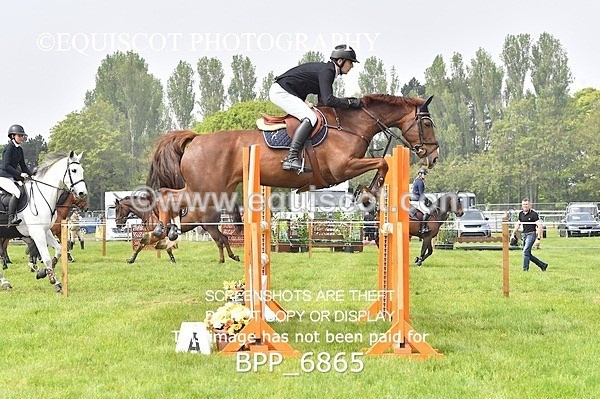 BPP_6865 - CLASS 3 RHS Fox Champ Qual (1.20m)