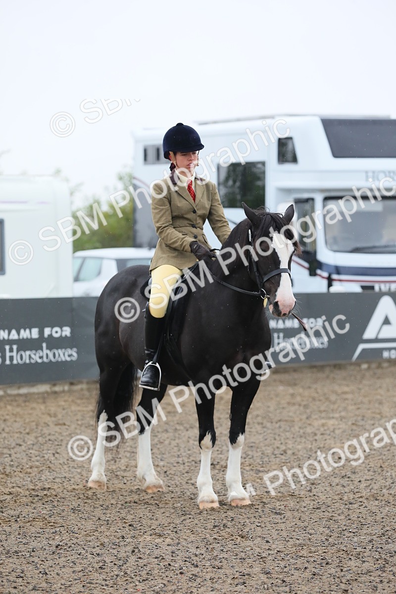SBM_19948 - Class 801 - Ridden Veteran