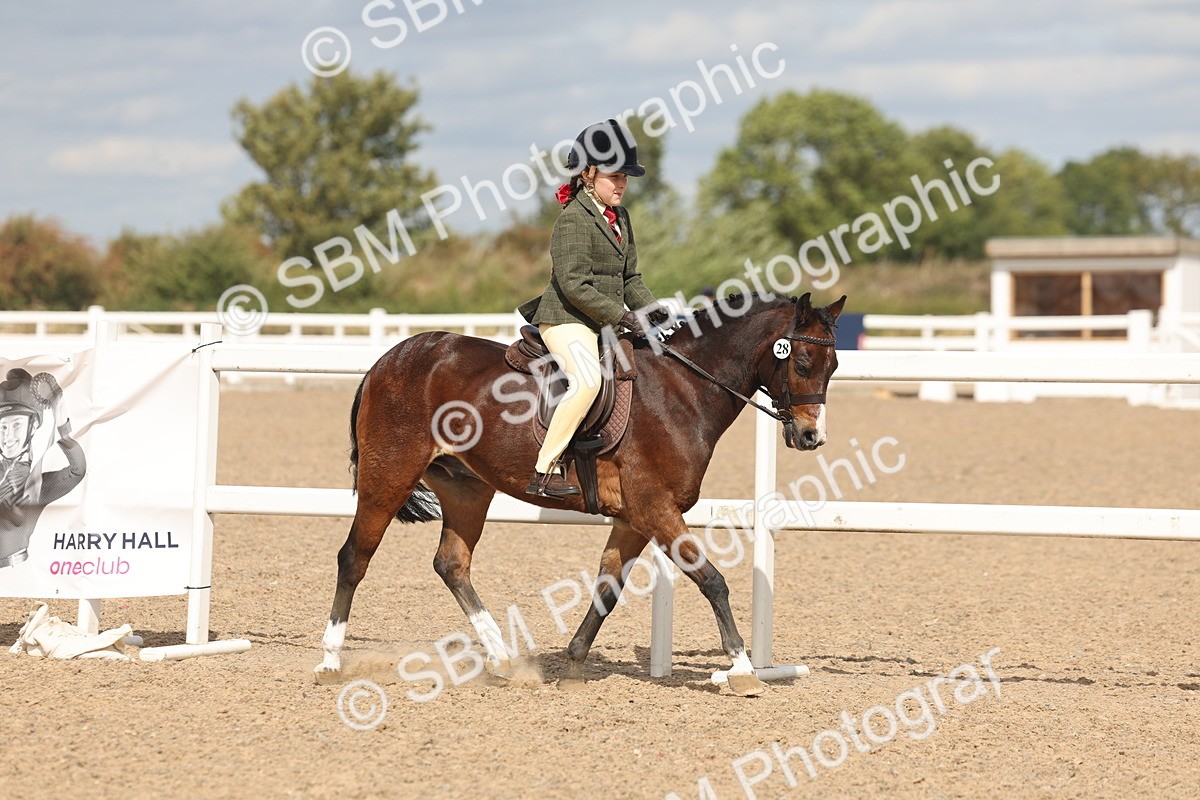 SBM_15870 - Class 310 - First Ridden Pony